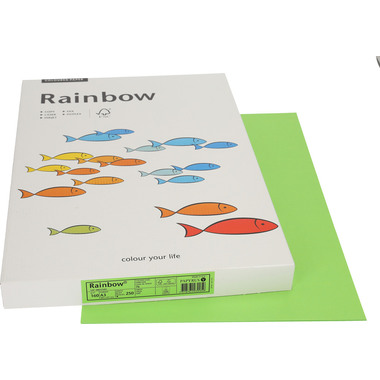 RAINBOW Papier grün/76 A3 88042660 FSC, 160g 250 Blatt