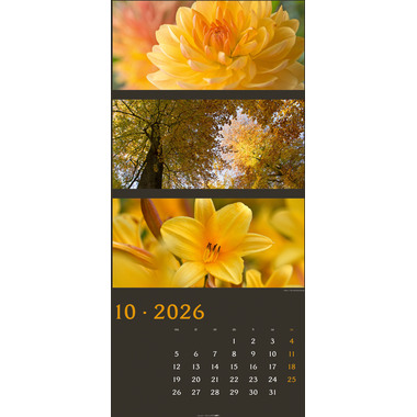 WEINGARTEN Calendrier 2026 3226100+26 Farben der Natur DE 33x68cm