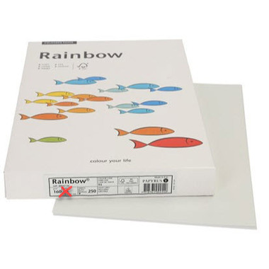 RAINBOW Papier hellgrau/93 A3 88042792 FSC, 160g 250 Blatt