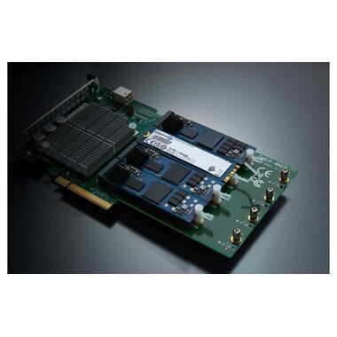 Kingston SSD DC2000B M.2 2280 NVMe 960 GB