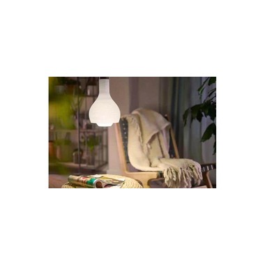 Philips Lamp LED 100W A67 E27 CW FR ND 6CT/6 Neutral White (NW)