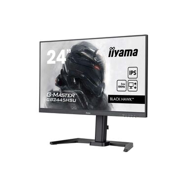 iiyama Monitor G-Master GB2445HSU-B2