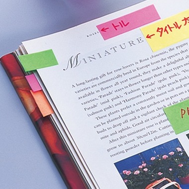 NT Memoc Roll Tape NORK-25CH-6A rose/lemon 25mmx10m