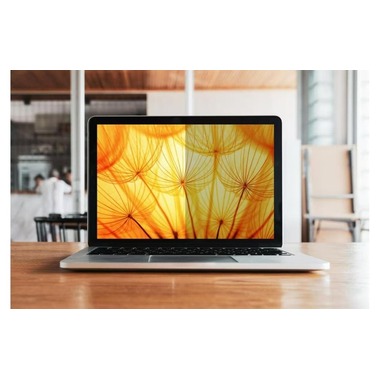 3M Bildschirmfolie Bright Screen Privacy Filter 16 " / 16:10