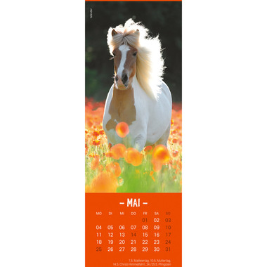 HEYE Lesezeichen-Kal. Pferde 2026 21475+26 DE 6x18cm