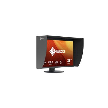 EIZO Monitor CG3100X Swiss Edition