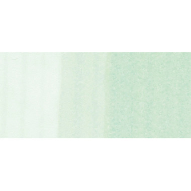 COPIC Marker Sketch 21075252 G000 - Pale Green
