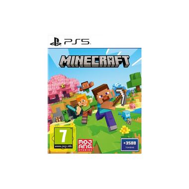 Flashpoint Minecraft