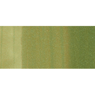 COPIC Marker Sketch 21075212 G24 - Willow