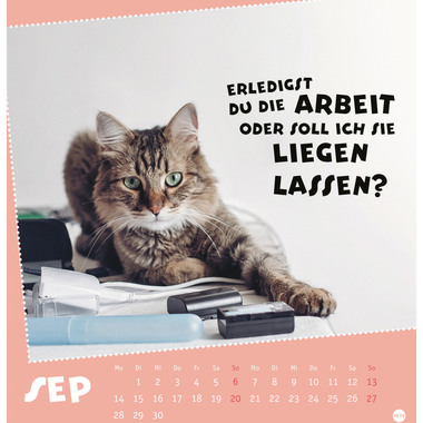 HEYE Postkarten.Kalender Pause 2026 23023+26 1M/1S DE 16x17cm