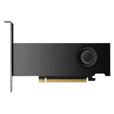 PNY Grafikkarte NVIDIA RTX 2000 Ada Generation 16 GB