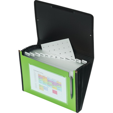 KOLMA Fächermappe Daily A4 11.032.01 grün 12 Fächer