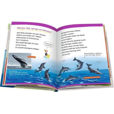 Ravensburger Livres pratiques pour enfants WWW Erstleser: Wale und Delfine