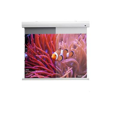 Celexon Tension Screen HomeCinema Dynamic Slate ALR 243x136cm 16:9