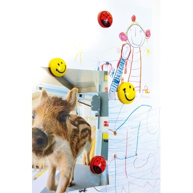 MAGNETOPLAN Smiley Magnete gelb-schwarz 16673 gross 40mm 4 Stk.