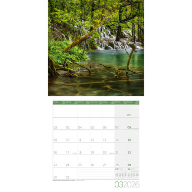 ACKERMANN Bildkalender 2026 4611 Zauber des Waldes ML 30x30cm