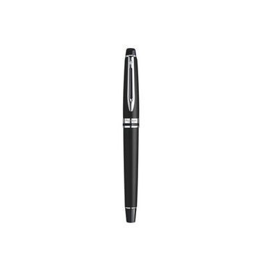 WATERMAN Rollerball F S0951880 Expert matt schwarz