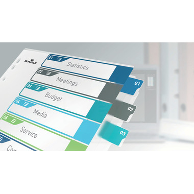 DURABLE Répertoires PP A4+ 679527 multicouleur 1-10