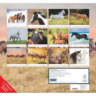 DUMONT Calendrier 2026 260613 Chevaux ML 38x35.5cm