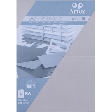 ARTOZ Cartes 1001 B6 107362262 220g, gris clair 5 feuilles