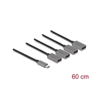 Delock USB-Hub USB 2.0 - 4x USB-A, USB Type-C, 60 cm