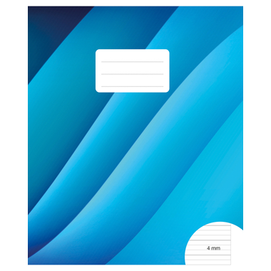 BÜROLINE Cahier d'école E5 533875002 4/4/4mm ligné avec marge 90g