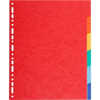 BIELLA Kartonregister Top Color A4 47940600U intensiv 6-teilig