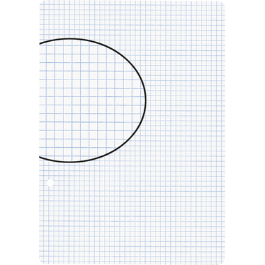 BIELLA Fogli per quaderni A5 45052400U bianco,quad.4mm,2 fo. 100 fg.