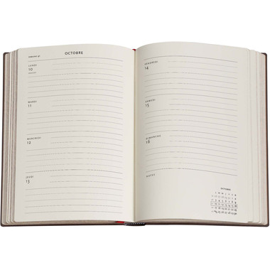 PAPERBLANKS Agenda Michel-Ange 2026 DF0914-7 1S/2P HOR Midi HC FR 13x18cm