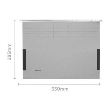 BIELLA Hängemappe Frosch A4 27132525U grau 32x25cm