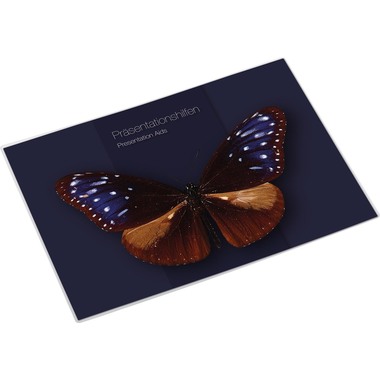 MAGNETOPLAN Sichttasche magnetofix A3 1130730 transparent, querformat, 1mm