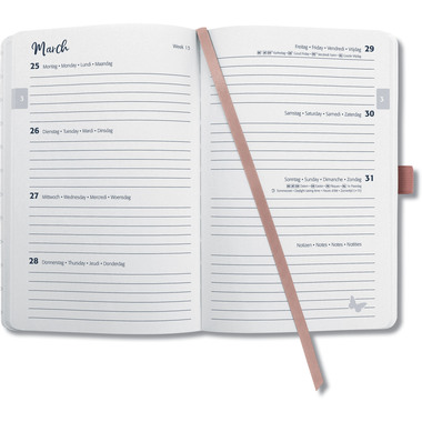 JOLIE Agenda Beauty 2026 J6351 1S/2P rosy meringue ML A5