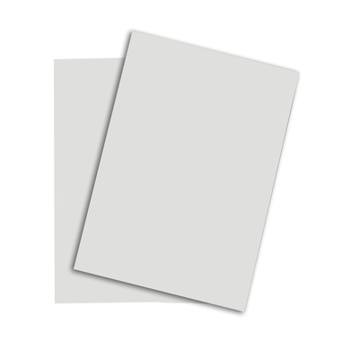 PAPYRUS Rainbow Papier FSC A4 88043118 hellgrau, 120g 250 Blatt