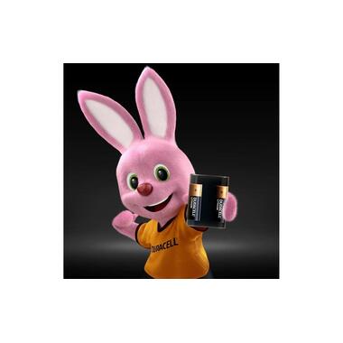 Batteria al litio Duracell 245, 1 pezzo