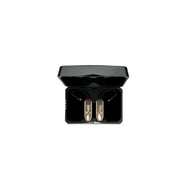 iFi Audio headphone amplifier GO pod Max