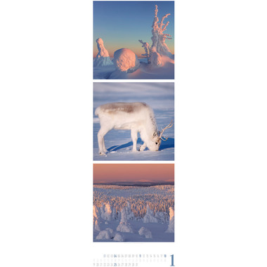 ACKERMANN Calendario 2026 2656 Nature ML 33x100cm