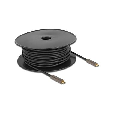 Delock Câble USB-C pour vidéo optique 10 m
