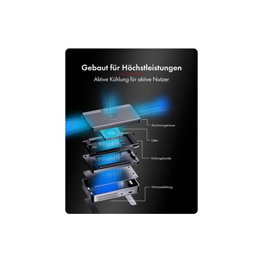 ICY BOX Dockingstation Heart RAID 2818 2-Bay RAID, für M.2 NVMe SSD