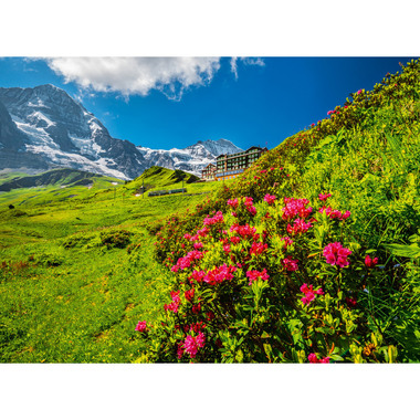 CALENDARIA Bildkalender 2026 9783036205168 Berner Oberland ML 31.5x23cm