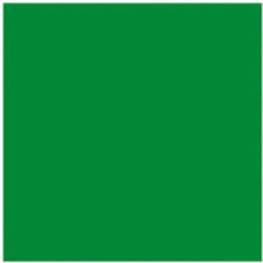 PELIKAN Tusche 10ml 523/7 grün