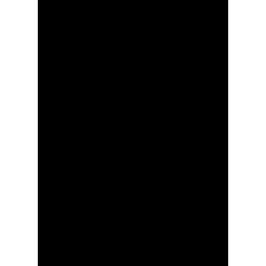 URSUS Fotokarton-Block A3 3814090SE 300g, schwarz 10 Blatt