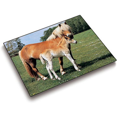 LÄUFER Sottomano 46587 motivo 53x40cm