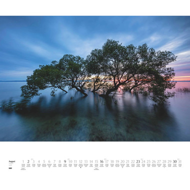 DUMONT Calendrier 2026 260364 Arbres ML 58.4x48.5cm