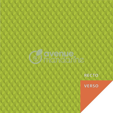 MANDARINE Dépliants Origami 20x20cm OR512C Dino 70g 60 feuilles