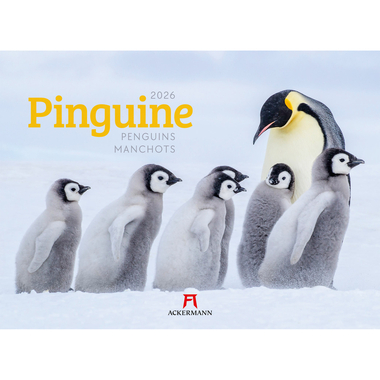 ACKERMANN Bildkalender 2026 2689 Pinguine ML 45x33cm