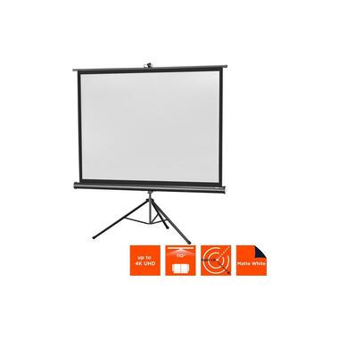 Celexon Écran mural sur pied Eco 244x183cm 4:3