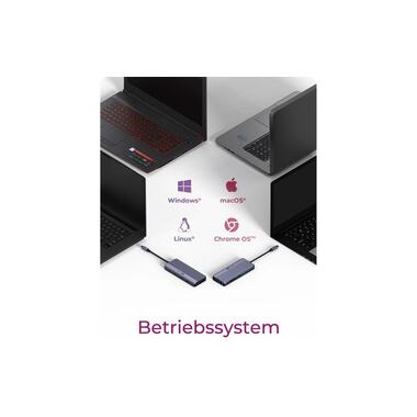 ICY BOX 12-in-1 DockingStation