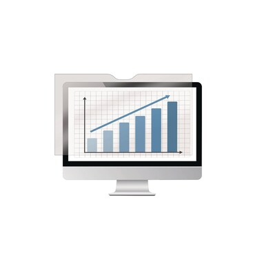 Fellowes Pellicola Privacy per Monitor 24"/16:10