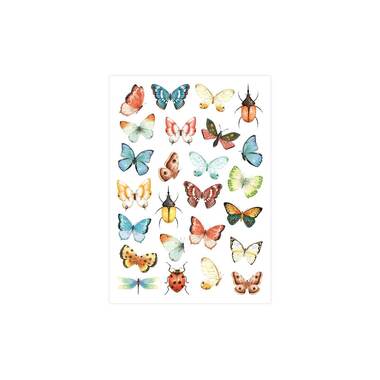 Set di tatuaggi Papierdrachen cavalli e amici di lettura