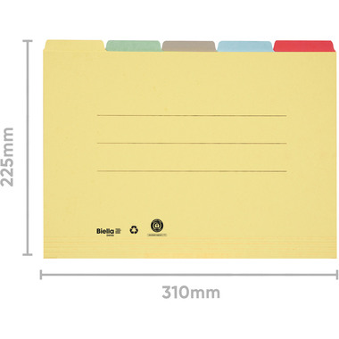 BIELLA Cartella sospese darchivio A4 32543200U colori ass., 190 fg. 5 pezzi
